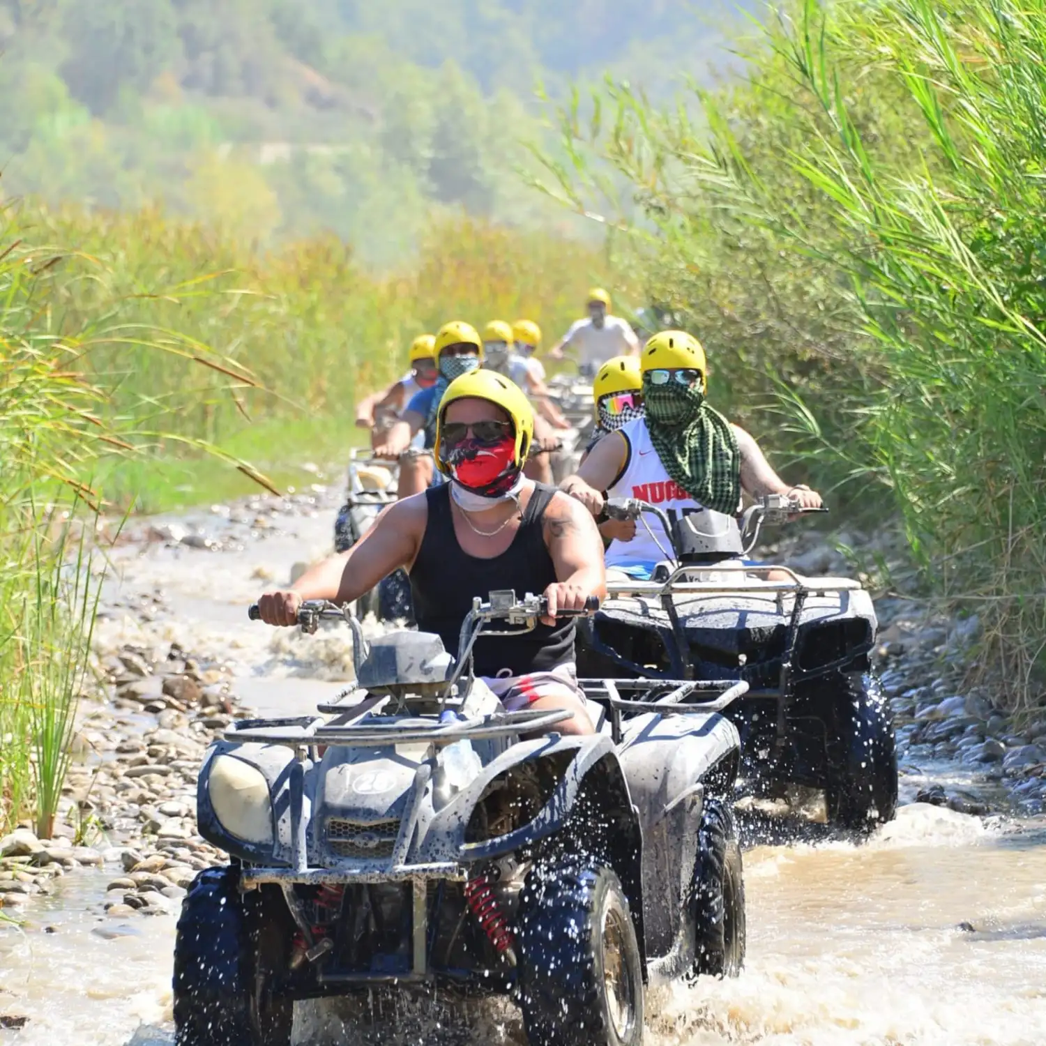 Quad safari 