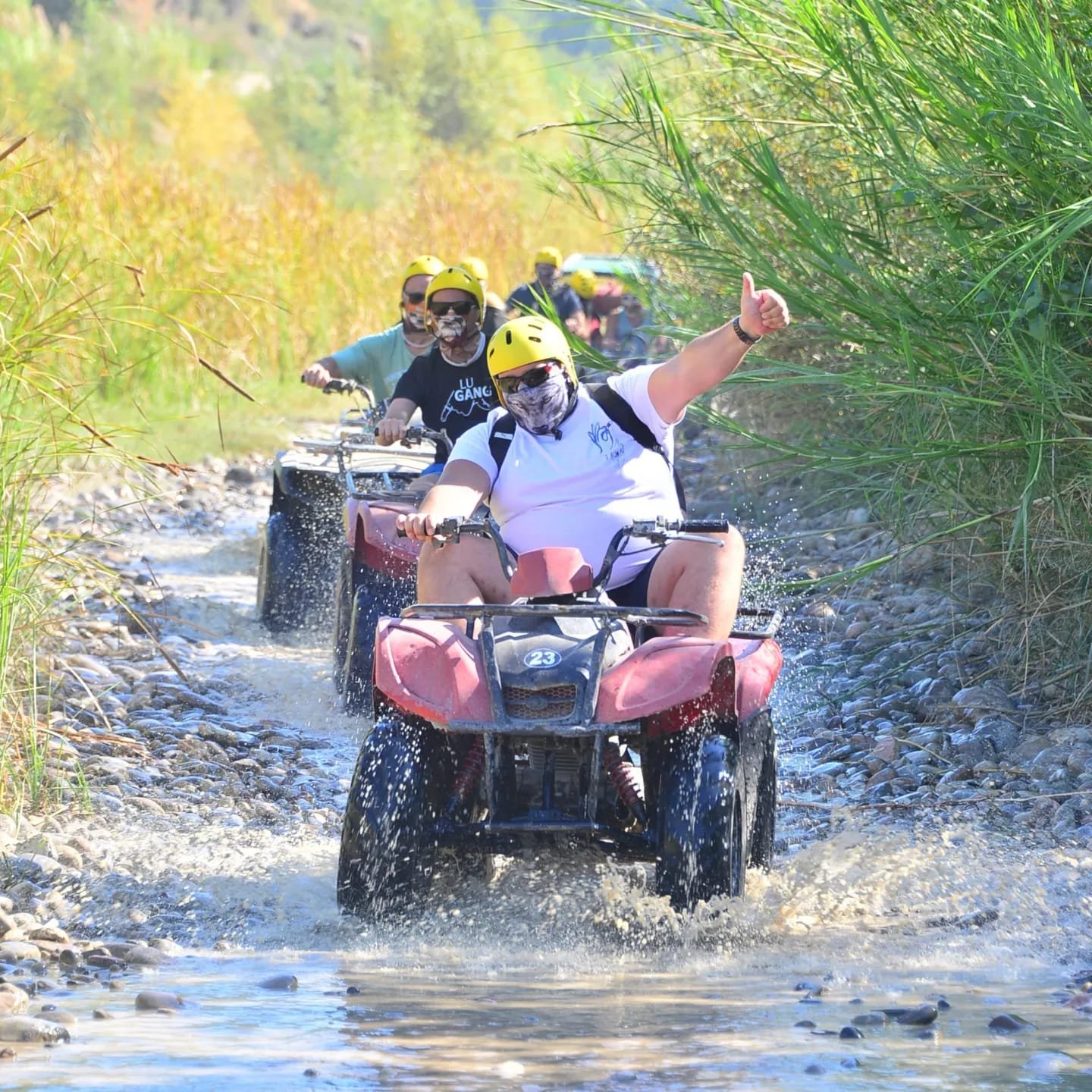 Quad safari 