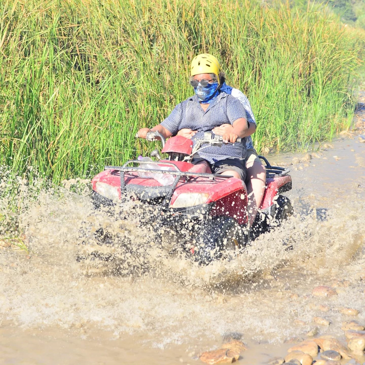Quad safari 