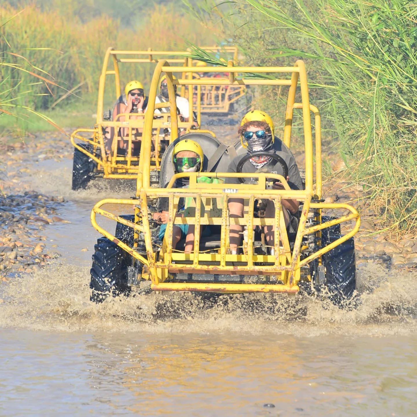 Quad safari 