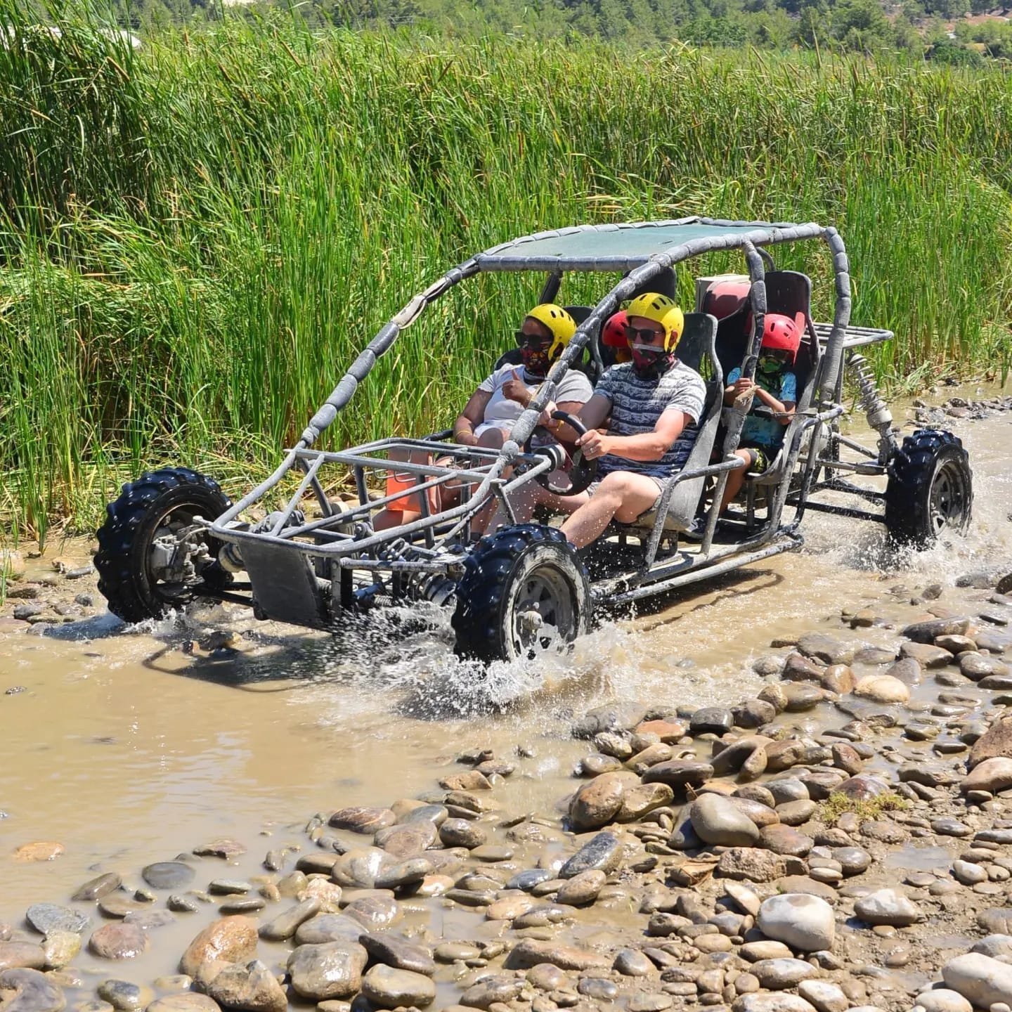 Quad safari 