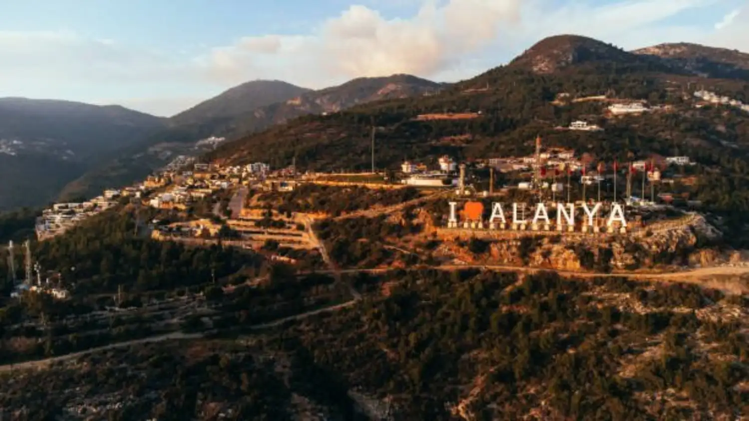 NİGHT SAFARİ AND NİGHT BOAT TOUR 