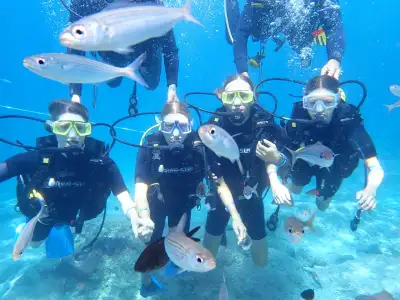 Alanya Diving Tour