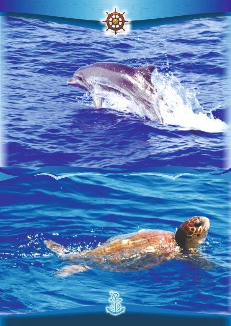 Alanya Boat Tour