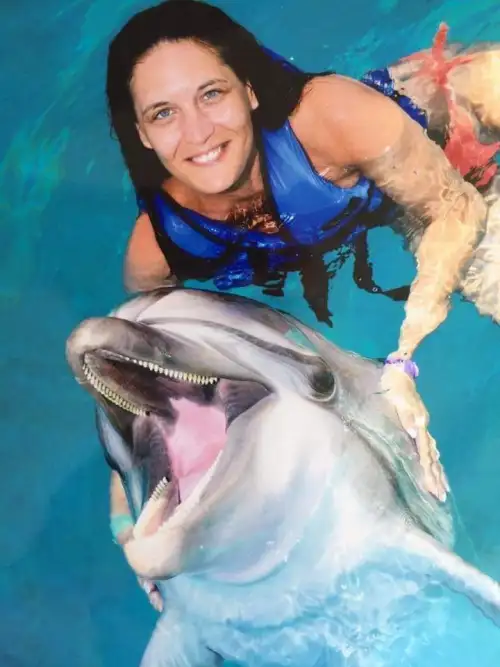 Dolphin Show