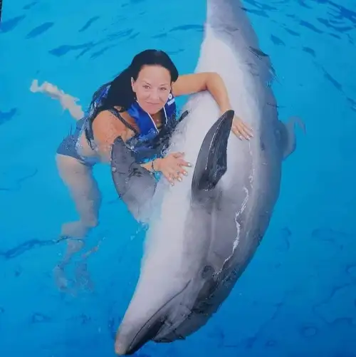 Dolphin Show