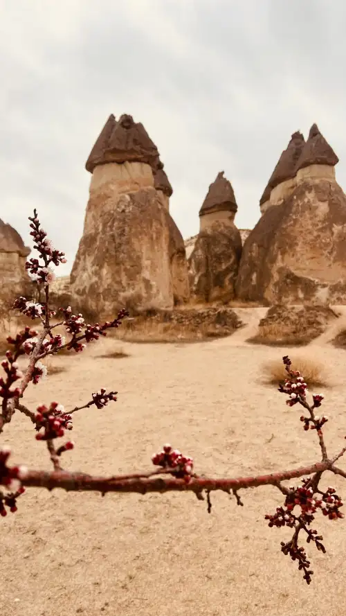 2-day Cappadocia Tour from Alanya